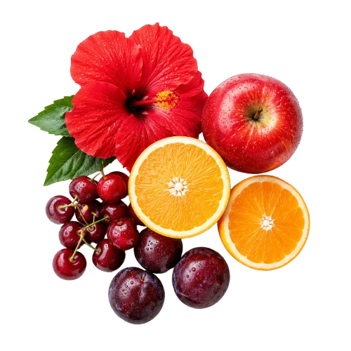 Hibiscus and assorted fruits